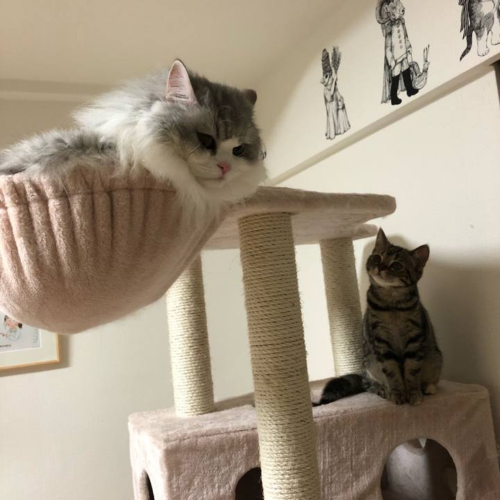 1b868827 eba5 43d4 85e4 b44d9b1b07a6 1581908351343