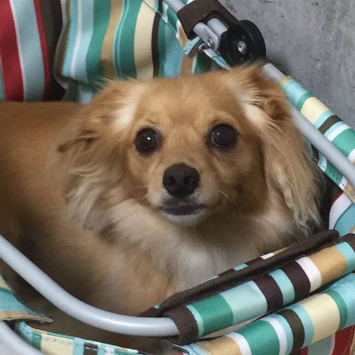 1b868a3f 2996 4558 9788 353da5323bd4 1566993951213