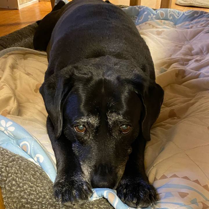 1b868b3b 9a11 4df9 99d3 b8b5d37a63bc 1624285685896