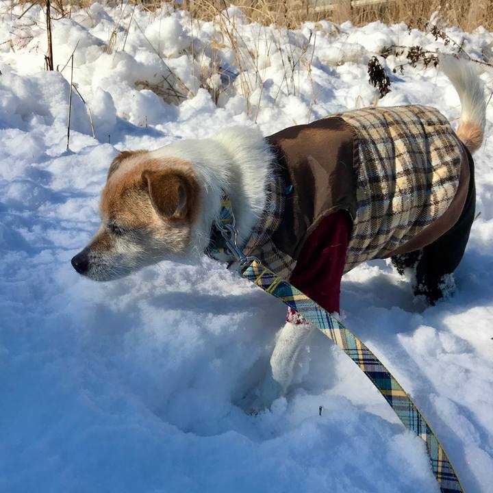 1b86fdad 4f07 4c1d a63f f7f36e798d78 1641520372756