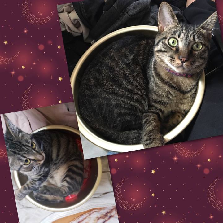 1b87280f 2eff 437b 8a5f ed7e326e35ad 1563679853702