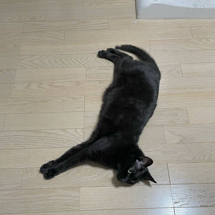 1b87287d 5e0c 492d 8281 628e8f0f0acf 1654086045854