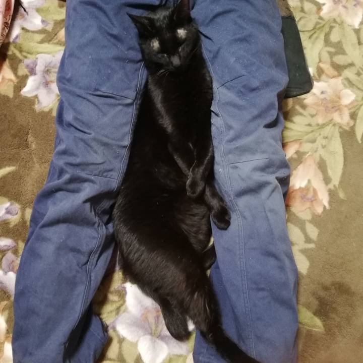 1b872f05 5f5e 4cb9 975c cc58fa0ce2a5 1668377702513