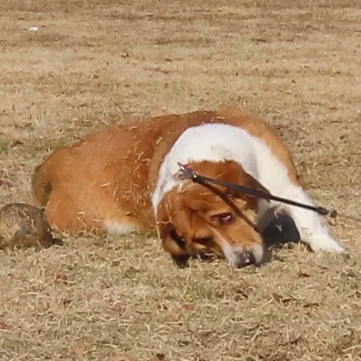 1b87a701 8198 49f9 9ee3 c497f5191315 1673757465722