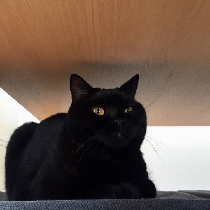 1b87c563 beed 482b bbd2 6cf9dc94ba42 1571708685465