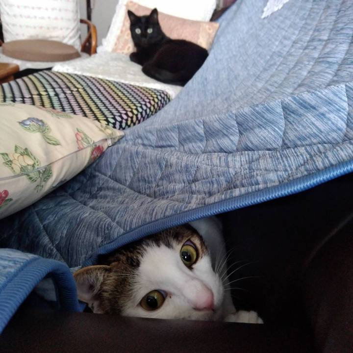 1b880ae5 5e97 441a 95ba 4daf7dfe67ea 1661742160065