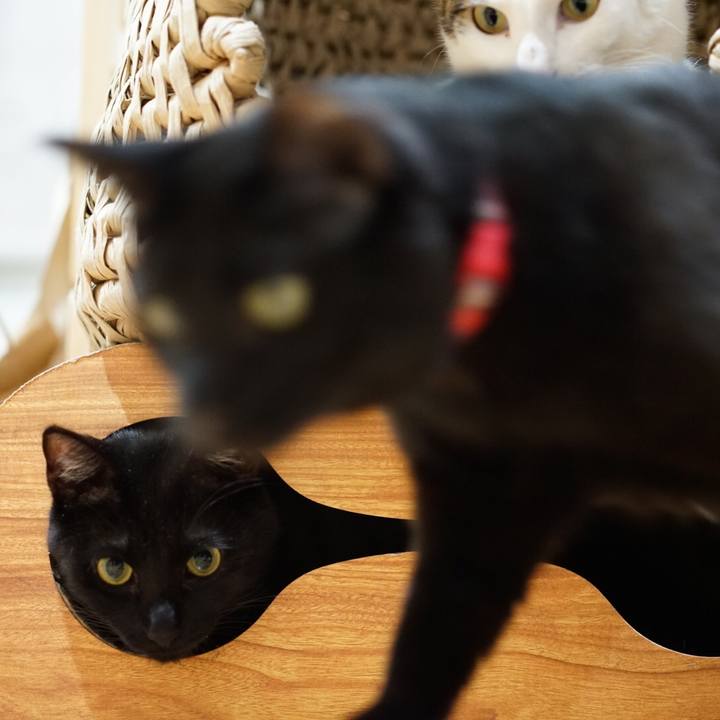 1b882b3f 3416 444c ba8a a772c1a56990 1553487947082