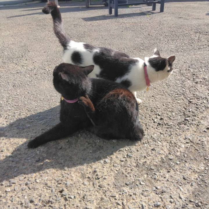 1b886ff5 cac2 493c 8953 0d5e16416169 1713163625296