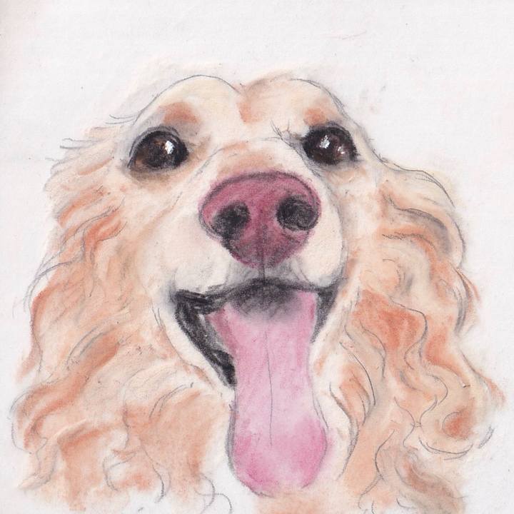 1b8877a8 8ed3 4745 b45b 8c5be44c4b11 1675127579449