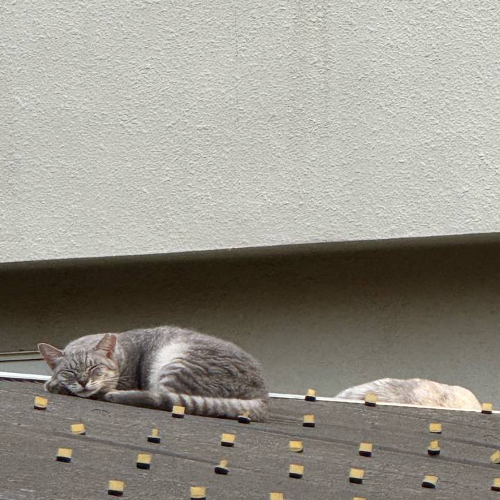 1b88a085 422d 4407 abfb 9e57ccd6053a 1757990399546