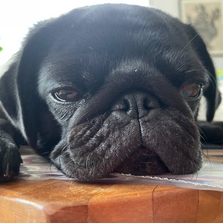 1b88fd7d a0d9 4209 8621 8656465976e2 1624852832376