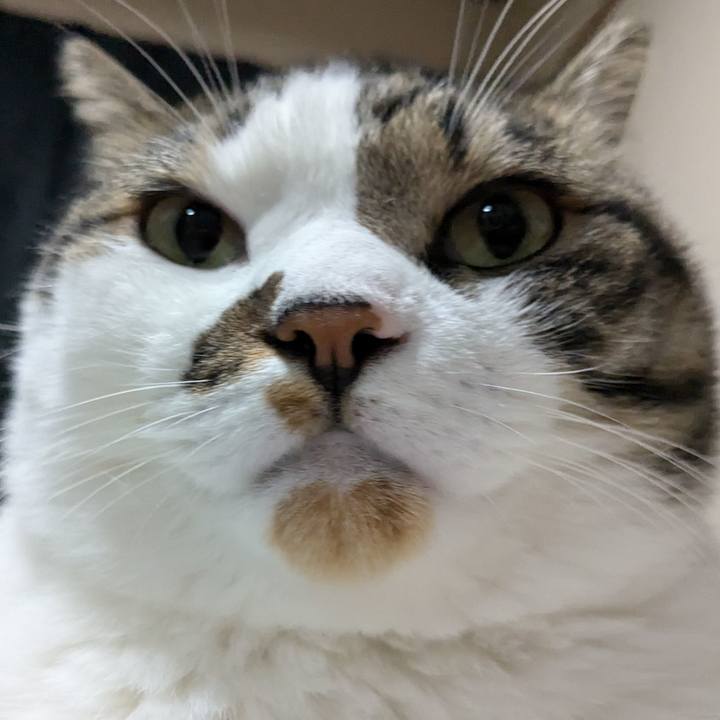 1b88fe50 5af0 40bf b6c6 4b1e8878a204 1725539752465