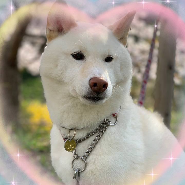 1b88ff2e 7798 455f a0da 2b568678927e 1654730734397