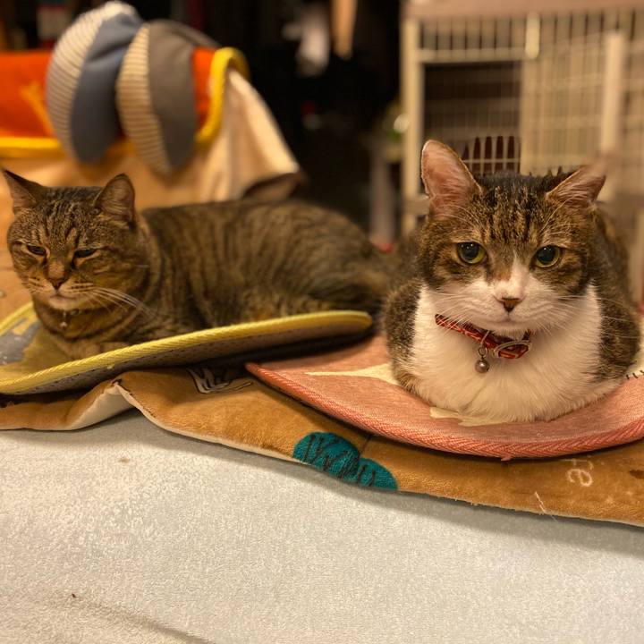 1b894946 fa57 4073 b633 040f455e3bf3 1604362680981