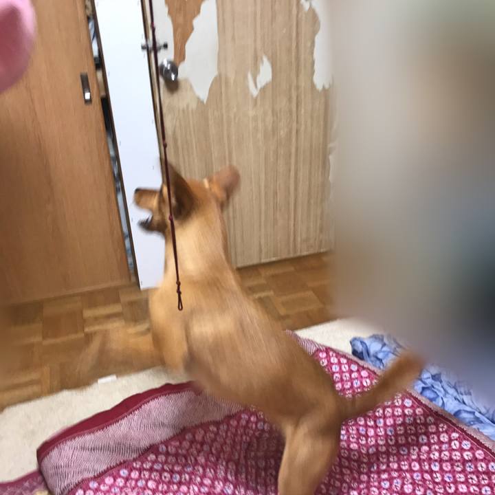 1b895195 cf9d 4b7f b65f c2080327f5f2 1527510673323