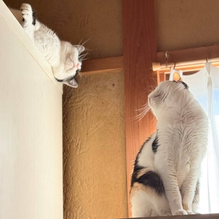 1b897325 6f86 4785 be35 9cc843c91eeb 1768705502087