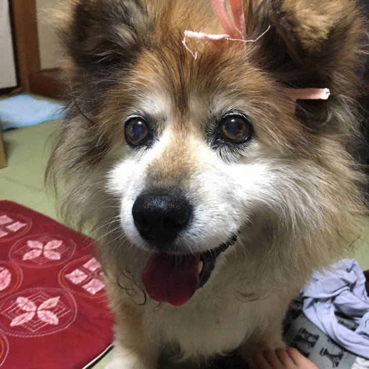 1b899bda 2443 4449 93b2 6788142881b9 1589440105067