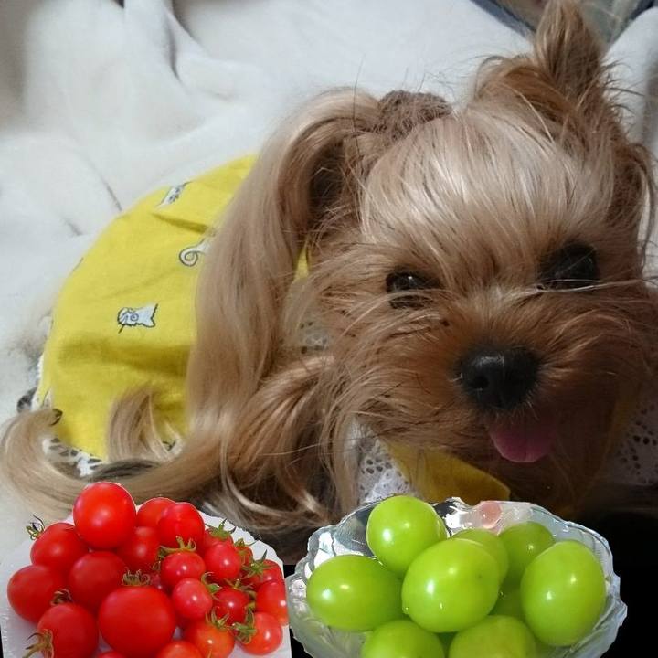 1b89ab24 d399 42dd 9469 e0e8403add13 1663901077510