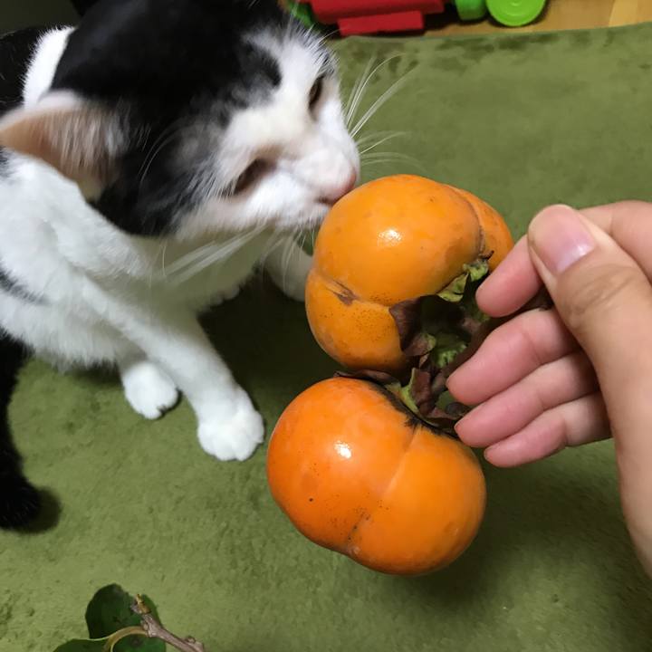 1b89b6a3 d975 4fb8 9d21 eb54eec924ce 1507886888964