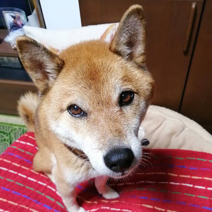 1b89c53e 74ae 47ed b462 4aeaebfde185 1633064948918