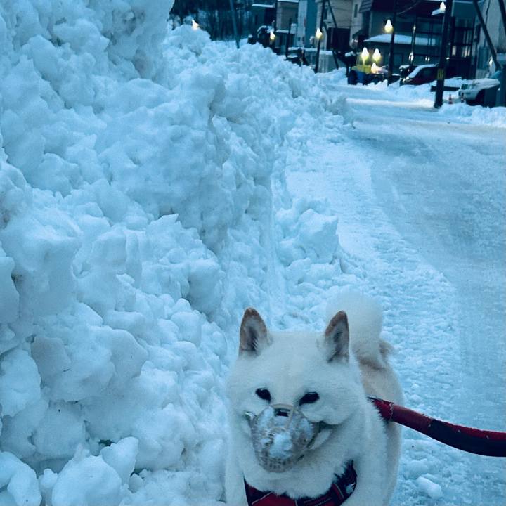 1b8a2708 4bea 4c84 8c36 9a93fe7059c9 1765755130871