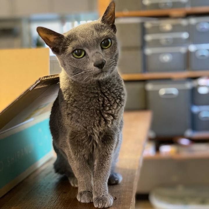 1b8a3302 006b 4ad5 9cd0 fac877d560d8 1614738778901