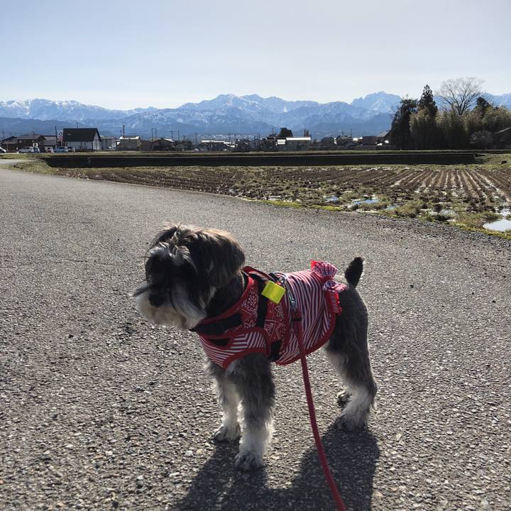 1b8a8aaa a408 4c44 bd5a 48ec3b35235f 1521855296572