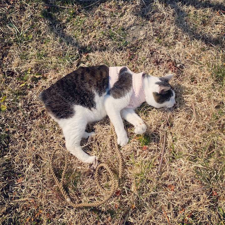 1b8a8c1b 94ee 4b86 b21b 67a405902a82 1613888263454