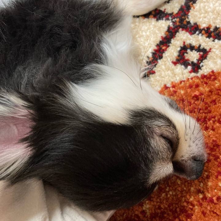 1b8aa4fa 96ac 457f b485 d4f9cc922ccb 1670766114056