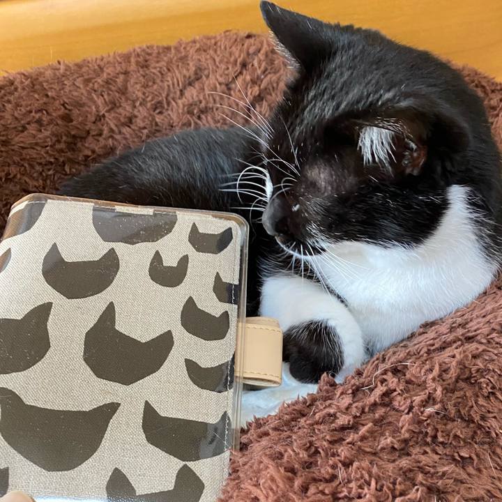 1b8aa79c e583 4aac 91ab 751c8bac8ff5 1704973382766