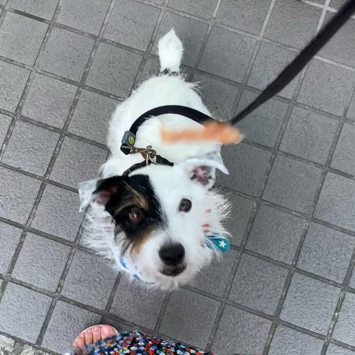 1b8abc7c 0b2f 4ef5 a122 96e5c178b558 1658480057569