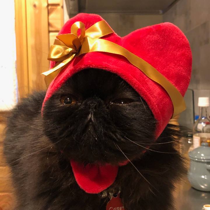 1b8acd28 ea24 4ba5 9130 b28e8ea085dc 1550138927878