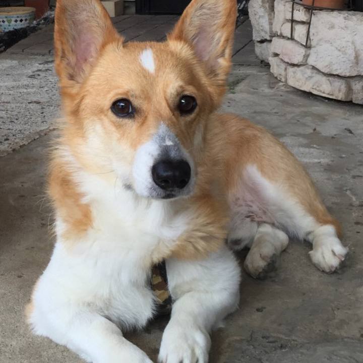 1b8ad83d 46cb 46e5 9bf8 6b9ca29fef87 1773720686293