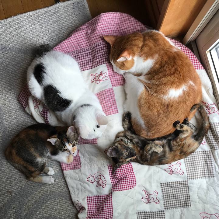 1b8aea2d eaac 47db 961d fabebe8fede8 1600752254986