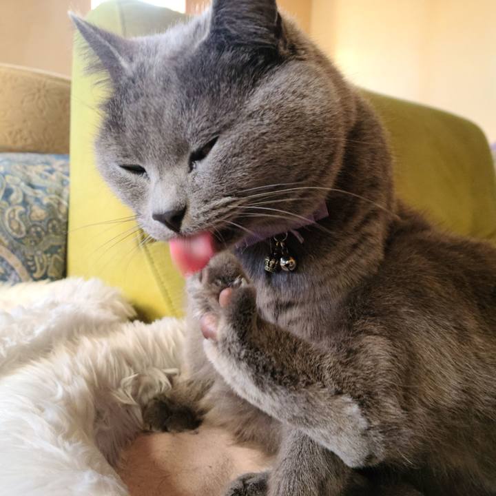 1b8b2106 7803 475b 97ac 7982946e4e06 1638347239842