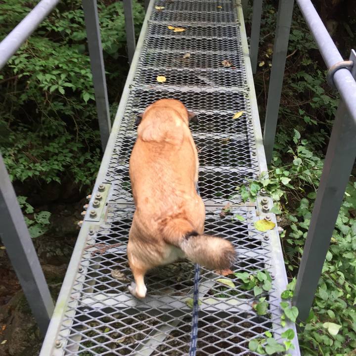 1b8b8255 a4d1 44e4 b6f1 f2643a01f730 1537695799377