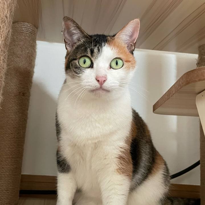 1b8bcf11 a6b9 4432 b5bd 194a28f672e4 1667714552149