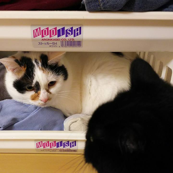 1b8bede6 ac05 4334 8731 014585d9120d 1508166116791