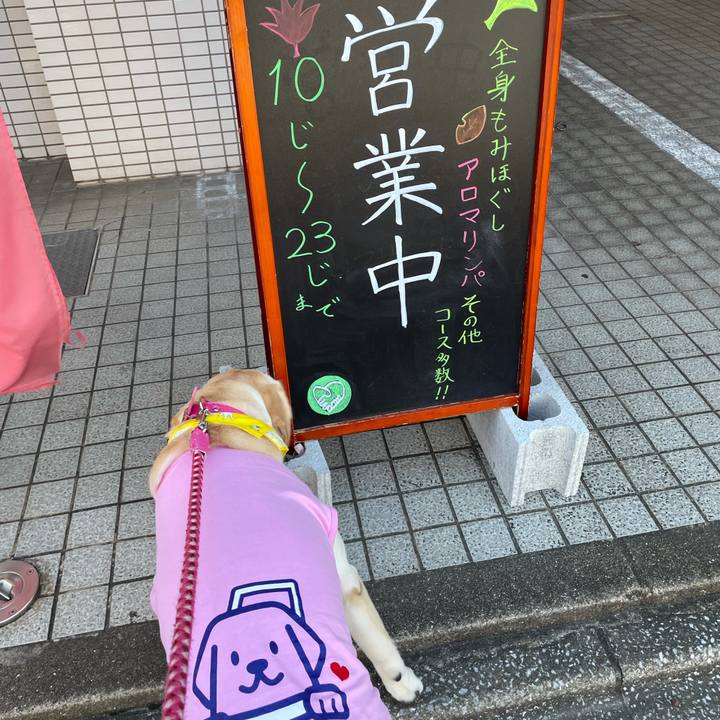 1b8bf30d 8ca2 41d5 a999 cd9cccbb211b 1633509491431