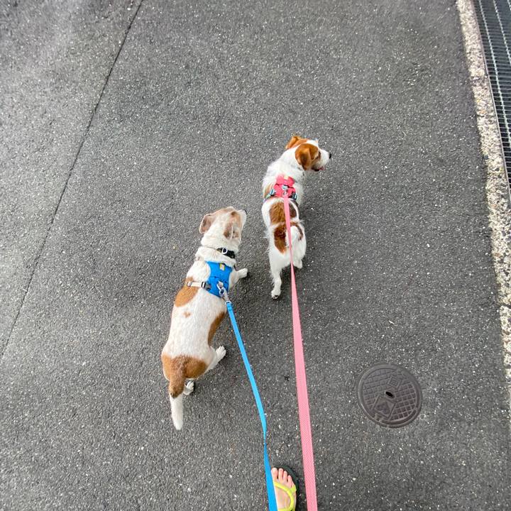 1b8c25ba deb0 4c42 a8ee 648e83b58824 1687644117754