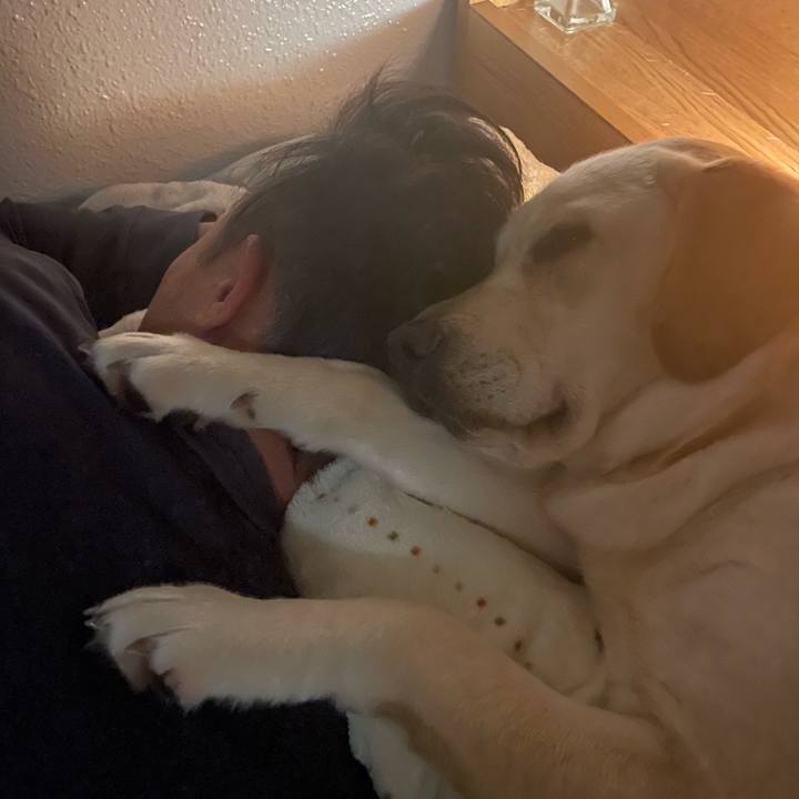 1b8c5013 b081 40eb 9b66 6b844915b9b9 1646659836907