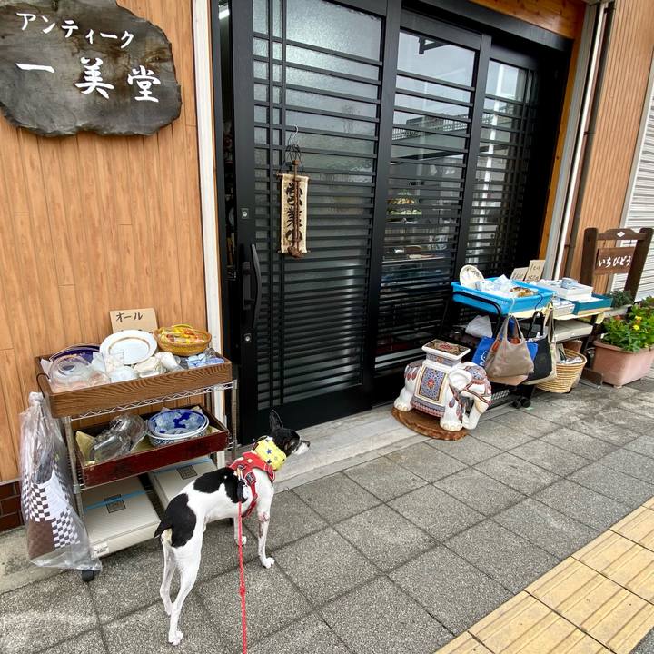 1b8c5ad4 9671 4cd6 9b44 d311c2e1d97d 1625908495597