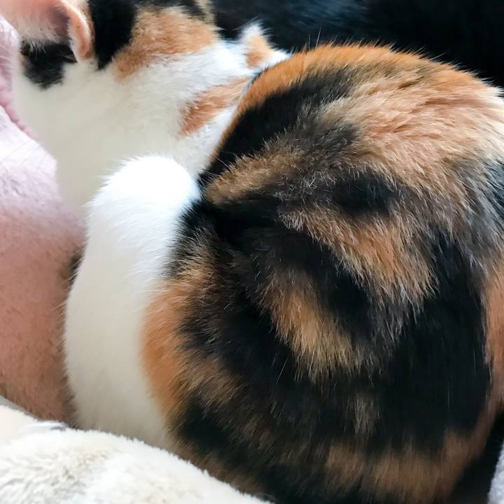 1b8c8166 e30e 46ba 908b deccebde0349 1514677561526