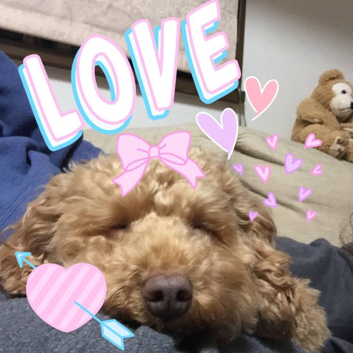 1b8c9408 7213 4d2f b3b1 7b3591b87f12 1518572766542