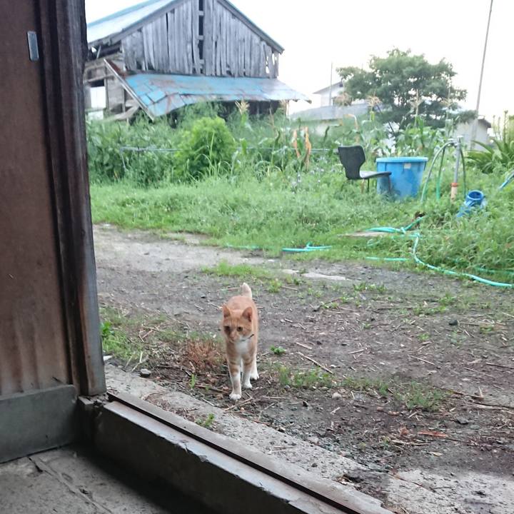 1b8ca2c8 e506 4b69 878c 11119629c8fd 1597440280392