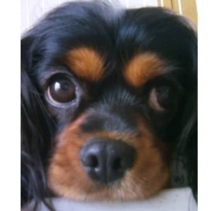 1b8ca4a7 ae2a 4687 bd46 6bb66c3c1ad0 1600511199407