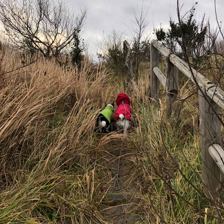 1b8cede3 555b 4269 ae6e 133af923faad 1547339698684