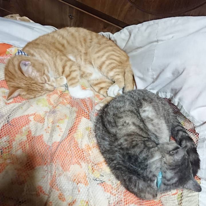 1b8d173f 92db 4167 a3ff b235221fd39b 1568728551961