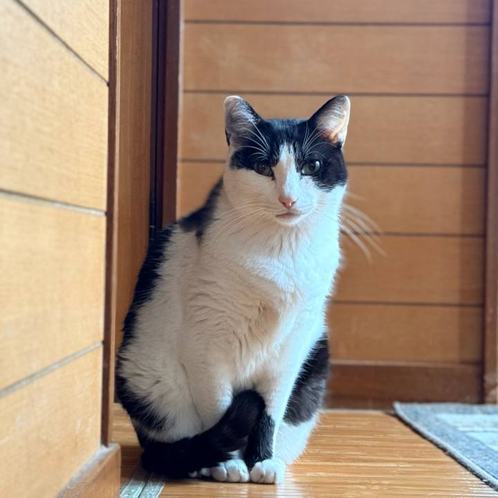 1b8d1fc6 67c3 45e6 87b4 2aff59d84e99 1732759359819