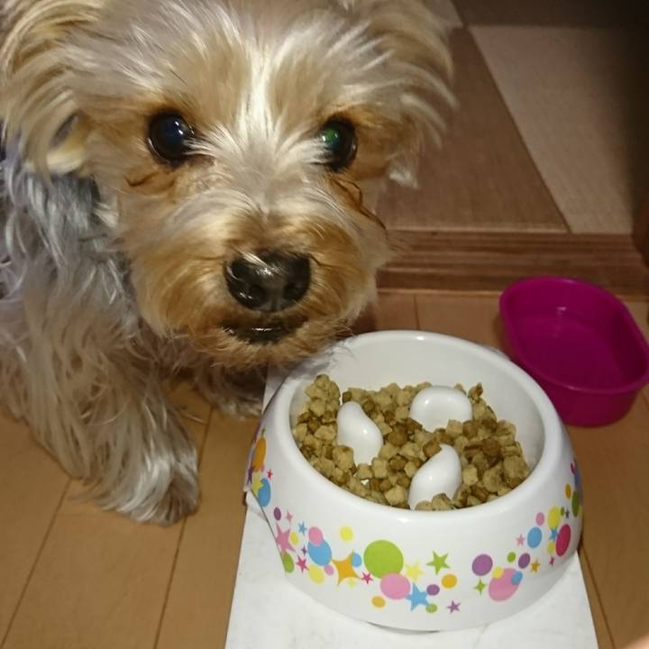 1b8d2962 6da3 41a0 9ac6 940f99556dbc 1519512359270